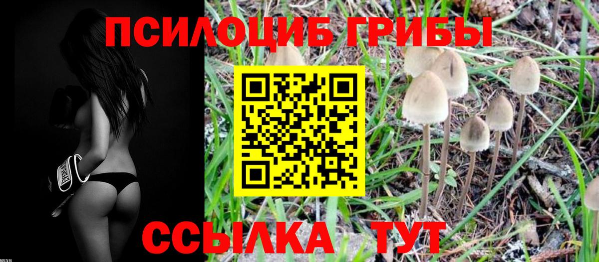 Псилоцибиновые грибы MAGIC MUSHROOMS  Вход с VPN  Галлюциногенные грибы GOLDEN TEACHER  Десногорск 